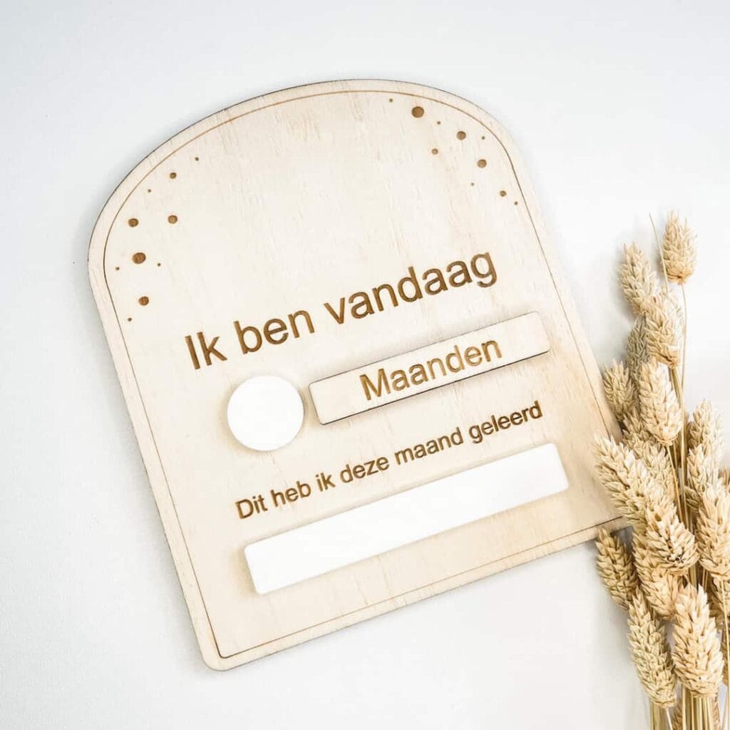 invulbordje voor baby's eerste jaar; ik ben vandaag... oud